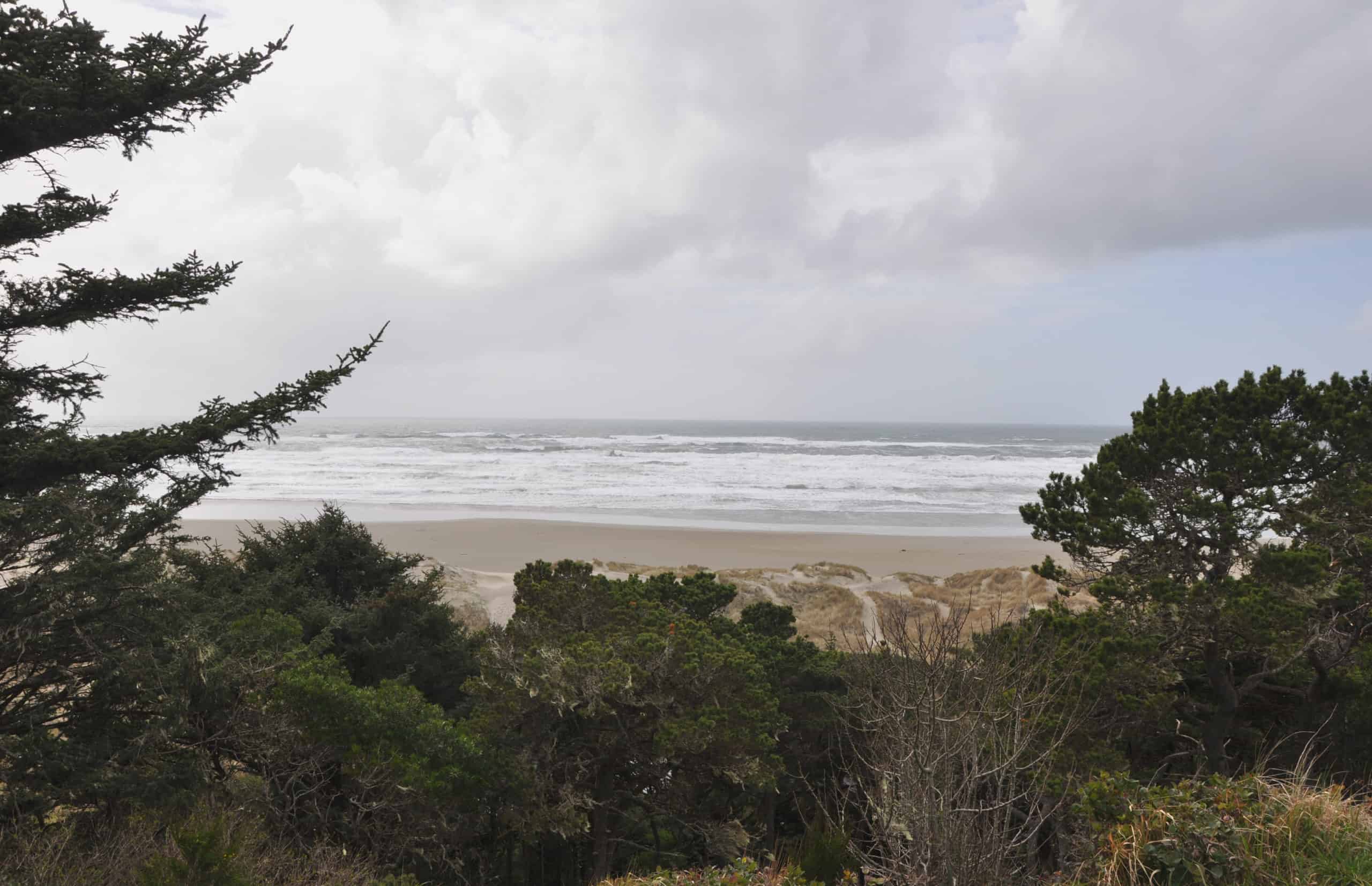 yaquina-bay-state-recreation-site-8321455