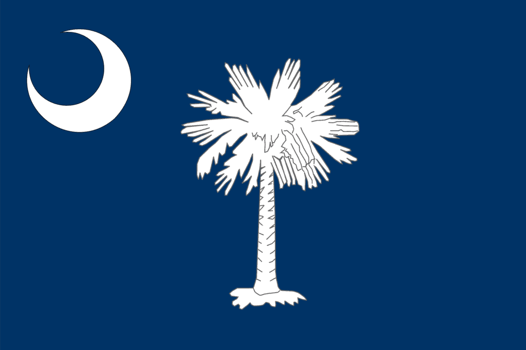 State flag of South Carolina